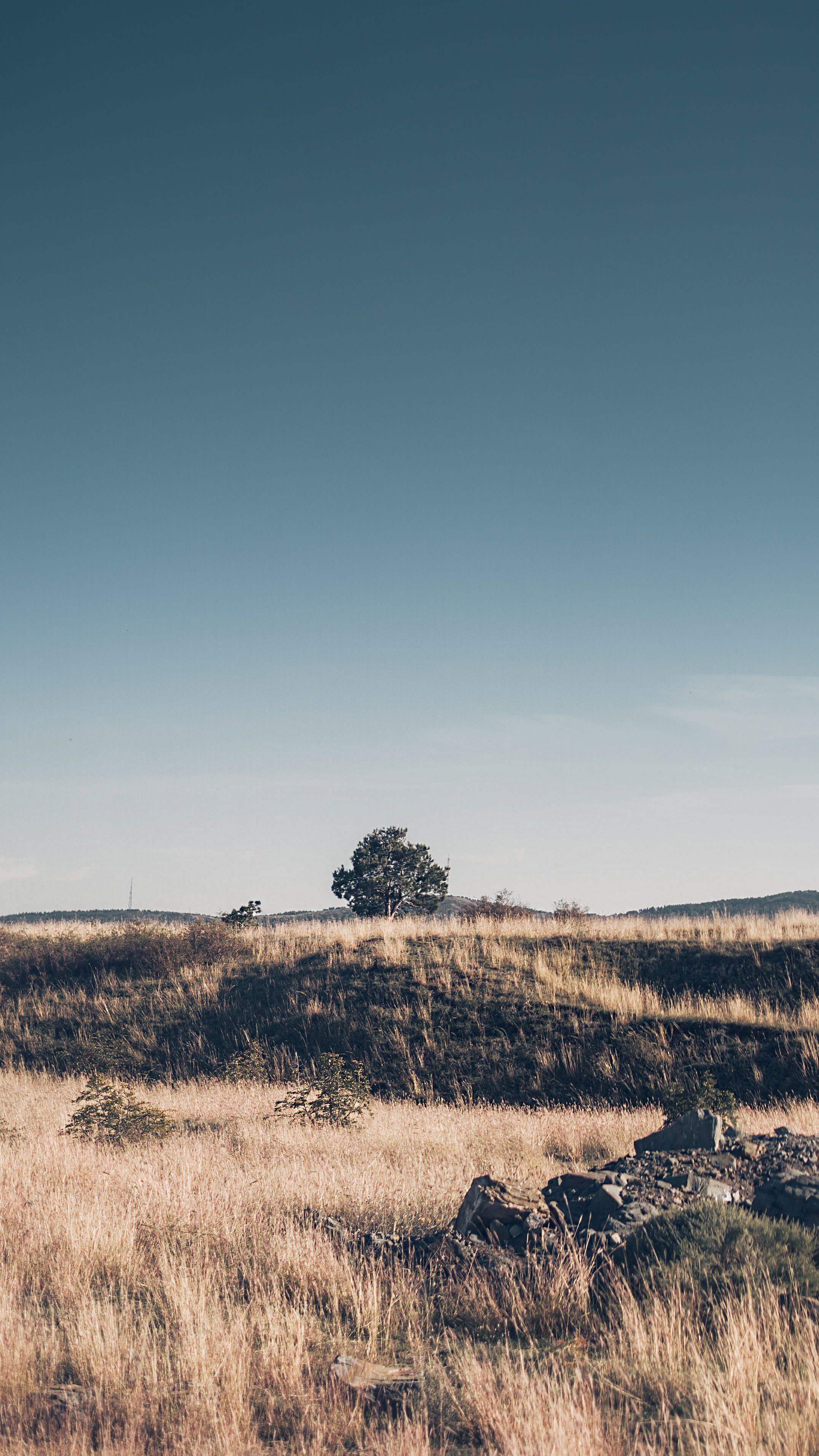 Landschaft Homepage
